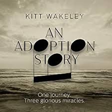 An Adoption Story album cover